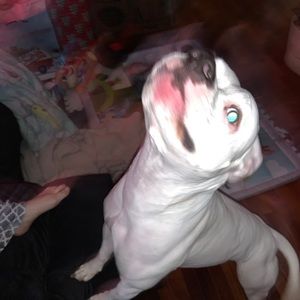 Meet your Posher, Robin